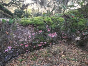 Leslie Morris Noyes - Blood Lichen Musings